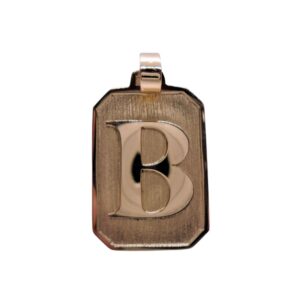 Pingente Placa com letra em Ouro 5gr- 3x2cm - Tenjoias.